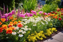 Colorful Spring Flower Bed With Daisies And Tulips