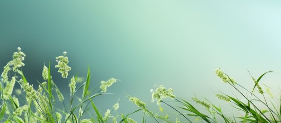 Canvas Print - Green background with a zoomed in view of grass and flowers