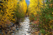 Autumn in the Methow Valley