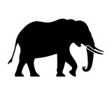 Fototapeta Dinusie - A large elephant symbol in the center. Isolated black symbol