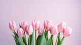 Fototapeta Tulipany - Minimalistic Arrangement of Pink Tulips AI Generated