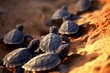 Many baby turtles on the sandy beach and crawl.illustration. Ai generative.