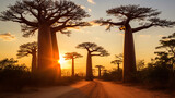Fototapeta Las - Sunset target: Madagascar's Baobab, Generative Ai	