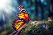Schmetterling als Makroaufnahme ruhig sitzend orange leuchtend vor einem unscharfen Hintergrund aus dunklen Wald mit Sonne. Tiere und Insekten des Sommers in einer natürlichen gesunden Umgebung.  