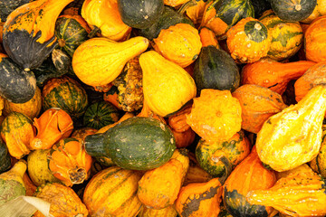 Poster - pile of pumpkins