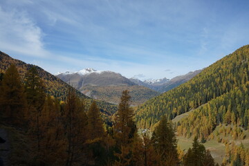 Poster - autumn landscape in the mountains Parc Naziunal Svizzer