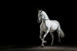  a white horse trotting in the dark with a bridle on it's bridle, in the middle of a black background is a black background.  generative ai