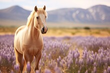  A Horse Standing In The Middle Of A Field Of Lavender Flowers With Mountains In The Backgroup Of The Picture In The Distance, With A Blue Sky And White Cloud In The Foreground.  Generative Ai