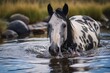  a white and black horse standing in a body of water next to a bunch of rocks on the side of a river with it's head sticking out of water.  generative ai