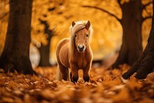  A Brown Horse Standing In The Middle Of A Forest With Leaves On The Ground And Trees With Yellow Leaves On The Ground And Trees With Yellow Leaves On The Ground.  Generative Ai