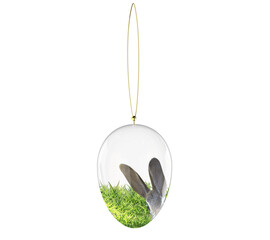 Wall Mural - happy easter - clear glossy glass egg cool rabbit looking from aside between green grass mixed reali