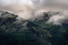Fog In The Mountains After A Storm (Amatole Mountains, Hogsback, South Africa)