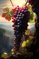 Poster - A cluster of ripe grapes hanging from a tree branch. This image can be used to depict nature, agriculture, fruits, or a vineyard