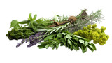 Fototapeta Do akwarium - Fresh mediterranean herbs