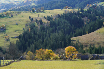 Sticker - rural Carpathian landscape in autumn