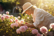 The portrait of a happy female elderly is picking up pink flowers at her garden in the morning. Generative AI.