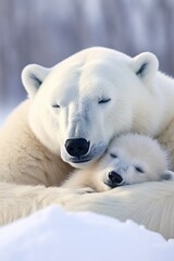 Wall Mural - polar bear with his little one sleeping in the snow