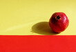 a pomegranate on colorful background