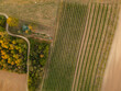 Fisheye Drone view down on wheat and vineyards