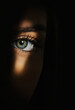 eye in the dark