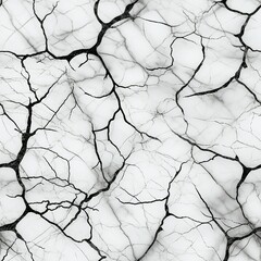 Poster - Black and White Marble Veins Pattern