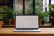 © Boris - Wooden table with laptop white screen, complemented by a vibrant potted plant blurred background.