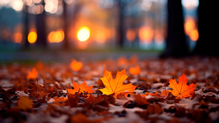 Wall Mural - autumn forest. red maple leaves in the sunlight.