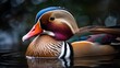 Extreme close up breathtaking mandarin duck pavo illustration picture AI generated art