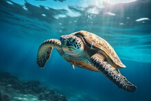 Green Sea Turtle Swimming Near Beautiful Coral Reef, Under Water Sea Turtles Close Up. Generative AI