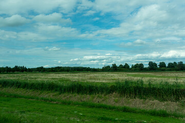 Wall Mural - Netherlands, Harderwijk, Dolfinarium, a close up of a lush green field