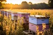 Bee boxes in the garden. Apiary in the Sun. Generative AI