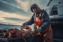 Bering Sea Fishing Crabs Marine Seafood. Aquatic Life Gear Shell Meat. Generate Ai