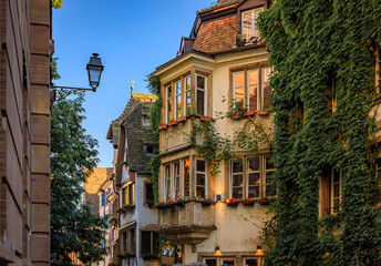 Wall Mural - Ivy covered wall of an ornate traditional half timbered house in the old town of Grande Ile, the historic center of Strasbourg, Alsace, France