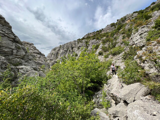 Wall Mural - Rocks in the canyon of the Bijela river or the cliffs of the canyon of the stream Bijela voda, Karin Gornji - Croatia (Stijene u kanjonu potoka bijela voda ili litice kanjona Bijele rijeke - Hrvatska)