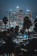 California Urban NIght　椰子の木　都会　夜景　海外
