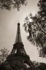 Canvas Print - Eiffel Tower, Paris, France