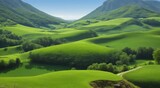 Fototapeta Pokój dzieciecy - landscape with grass and sky, landscape with fields, panoramic view of green field landscape, green field