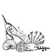 Decorative compositions with sea shells, sea star and some pearls. Black and white.  Hand-drawn ink illustration.  Vector