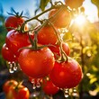 AI illustration of a vine with fresh tomatoes covered in water