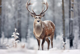 Fototapeta Zwierzęta - Noble male deer in winter snowy forest. Winter Christmas landscape.