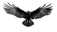 Birds Flying Ravens Isolated On White Background Corvus Corax. Halloween - Flying Bird. Silhouette Of A Large Black Bird Cut On A White Background For Graphic Design Applications
