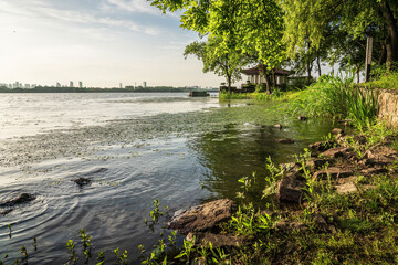 Wall Mural - Beautiful city park with lake, trees and mountains