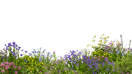 Wall Mural - Foreground Colorful variety of flower garden on transparent background