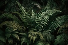 Wallpaper Featuring A Lush Green Fern Background. Generative AI