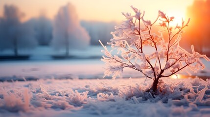 Wall Mural - Winter frozen landscape close up