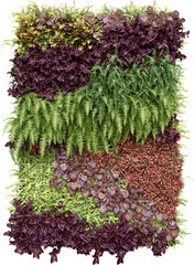 Realistic vertical garden. 3d rendering of isolated objects.