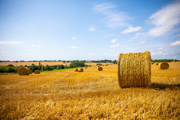 Wall Mural - Paysage de campagne dans les champs de blé après les moissons.