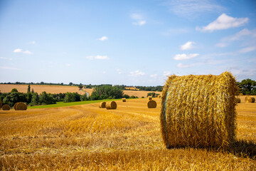 Wall Mural - Paysage de campagne dans les champs de blé après les moissons.