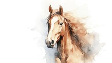 Portrait Of A Horse In Aquarelle Style