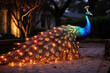 Peacock showcasing spectacular tail lighted with twinkling festive Christmas lights 